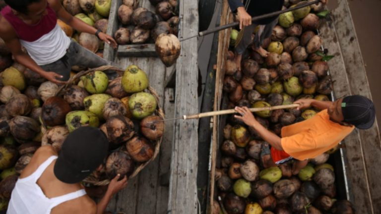 Ekspor Kelapa Meningkat, Industri Dalam Negeri Kekurangan Bahan Baku
