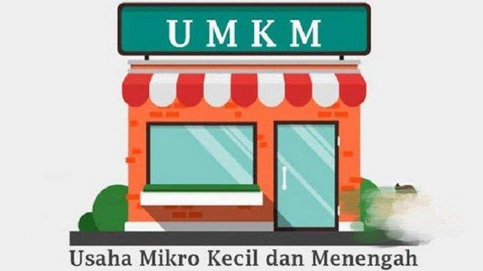 Inisiatif Pemerintah dalam Mendukung Kemajuan UMKM di Indonesia