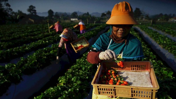 UMKM Akan Berkembang Meskipun Terdapat Isu Resesi