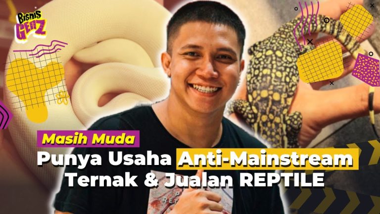 Bisnis Anti Mainstream Jualan Reptil Hingga Meraup Ratusan Juta Perbulan