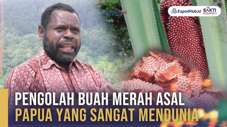 Minyak Buah Merah Papua membuat UMKM Mendunia