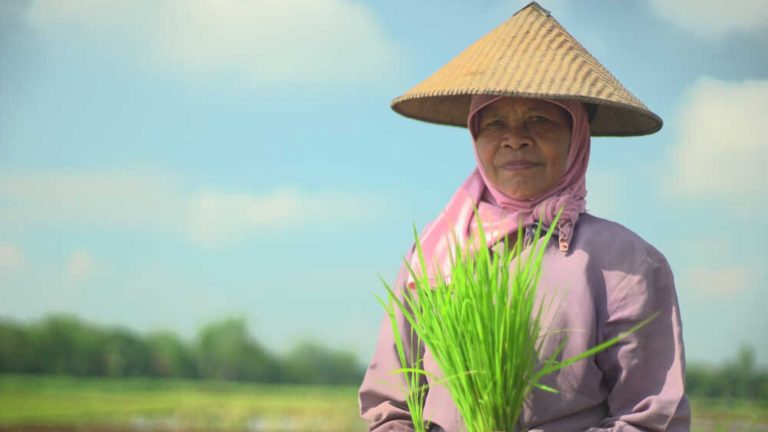 BRI Life Berikan Asuransi Rp1,7 Miliar untuk Petani!