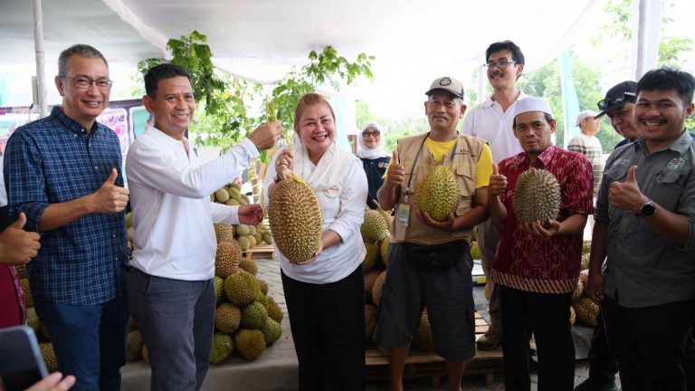 Durian Lokal Siap Tembus Pasar Dunia!