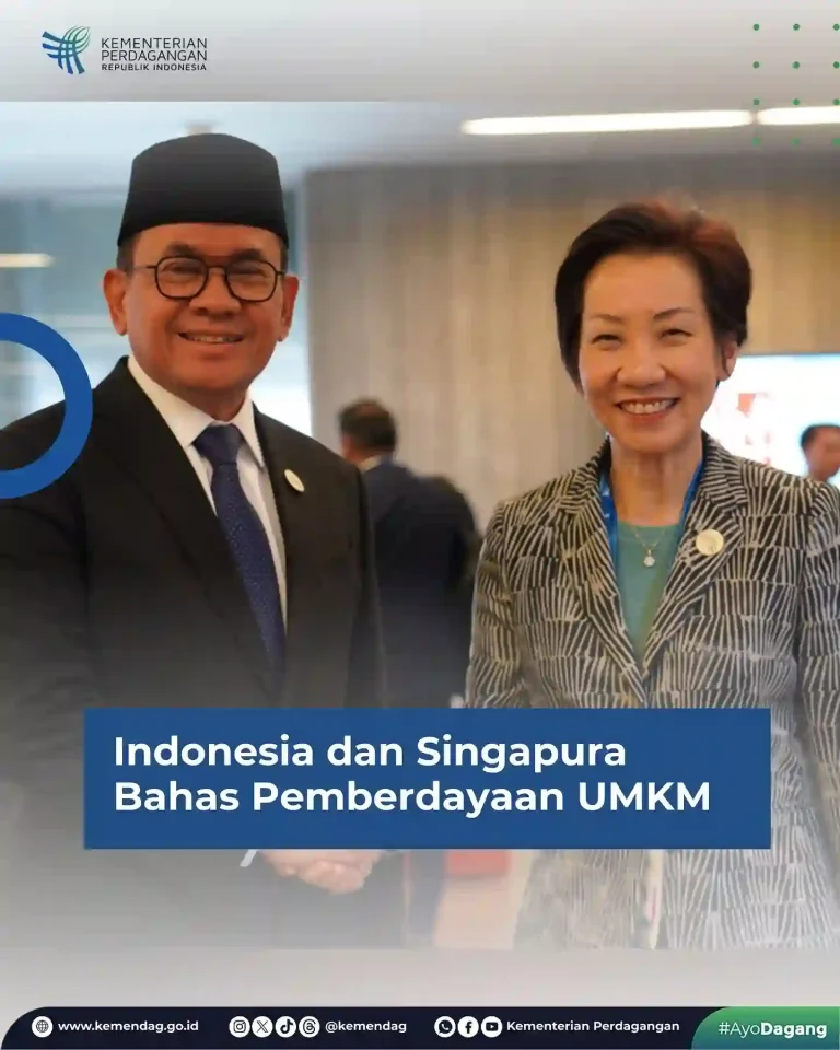 Indonesia dan Singapura Sepakati Kerja Sama Digital UMKM