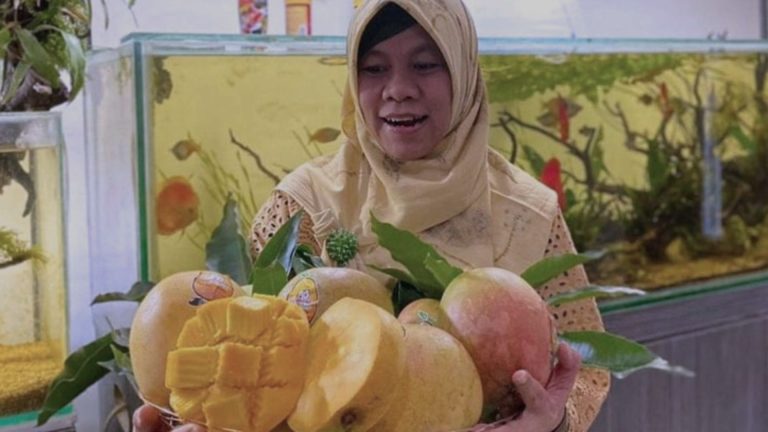 Harga Mangga Agri Mania Tembus Rp40.000 per Kg, Ini Rahasianya