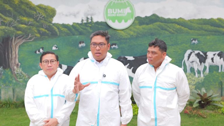 Peluang Bisnis Peternakan Sapi di Indonesia Makin Terbuka