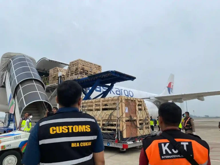 Domba Impor Dorong Produktivitas Peternakan Nasional