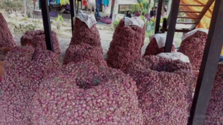 Guru dari Kediri Raih Ratusan Juta Rupiah dari Usaha Bawang Merah di Rumah