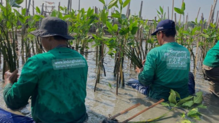 LindungiHutan Dorong UMKM dan Startup Terapkan Strategi Bisnis Berkelanjutan