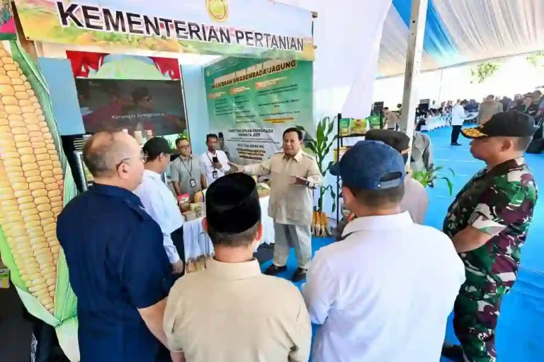 Geti Media UKM - UMKM Bengkayang Tampilkan Inovasi Jagung Bioteknologi Pertanian