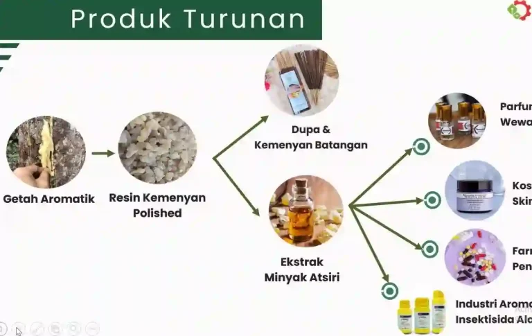 Geti Media UKM - Kemenperin Kembangkan Hilirisasi Kemenyan untuk Dorong IKM Daerah