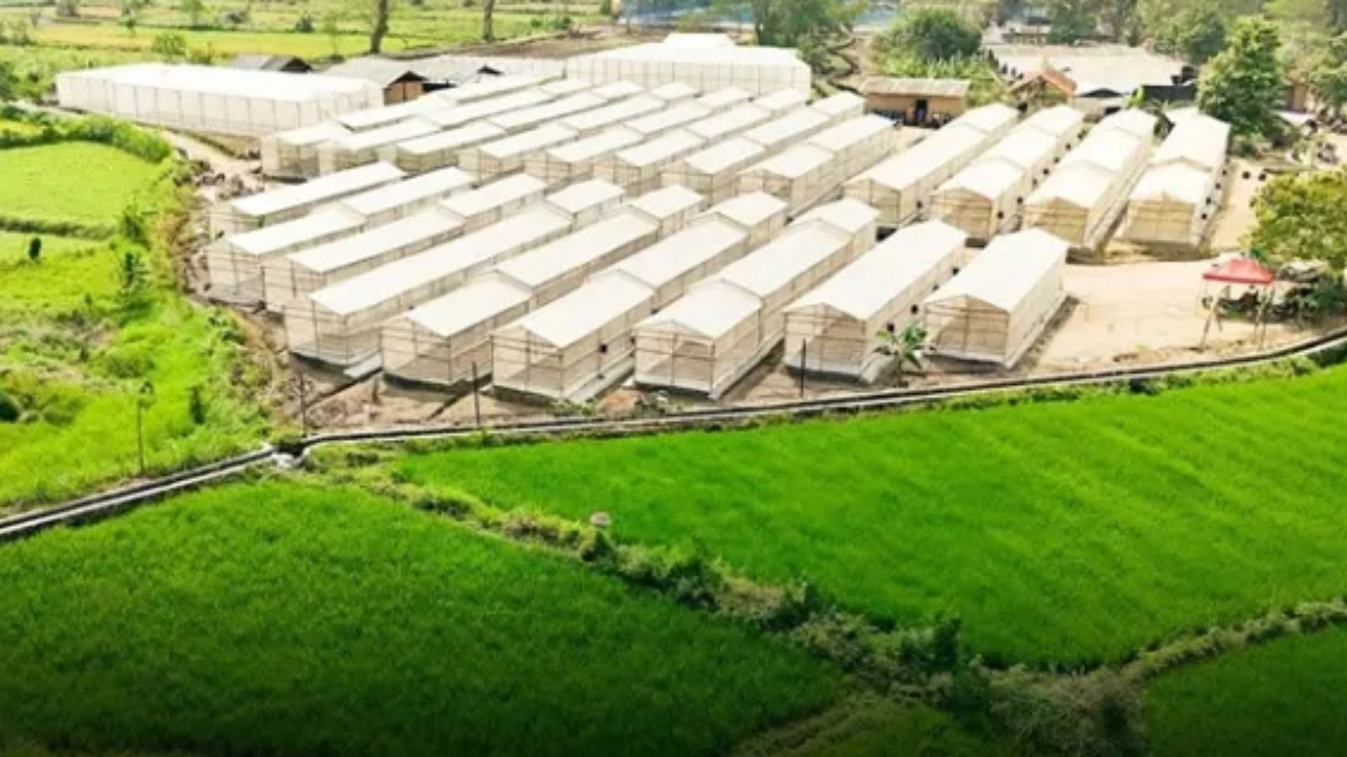 Rejo Farm Mengolah Limbah Jadi Emas, Kisah Sukses Rejo Farm Buka Lapangan Kerja ...